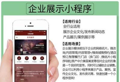 小程序定制開發、微信公眾號、推廣排名、吸粉